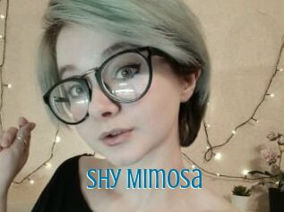 Shy_Mimosa