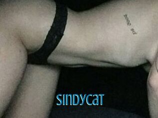 SindyCat