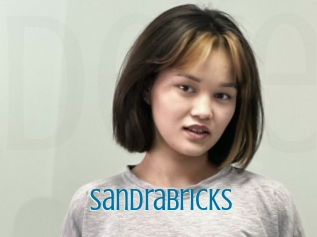 Sandrabricks