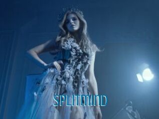 Splitmind