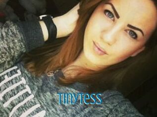 TinyTess