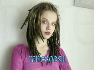 Taitegodsil