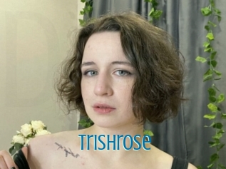 Trishrose