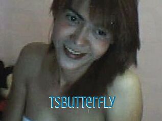 Tsbutterfly