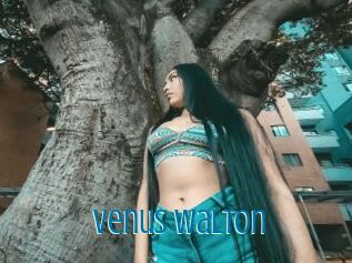 Venus_Walton