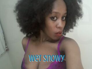 Wet_Snowy