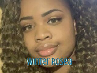 Winter_Rosea